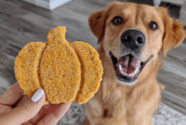 woman holding a pumpking shaped dog treat
