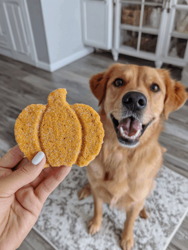 woman holding a pumpking shaped dog treat