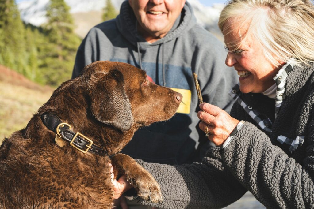 chocolate lab with two owners in a field