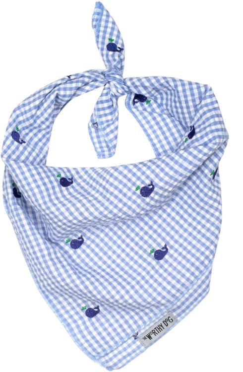 blue and white checkered bandana with whales