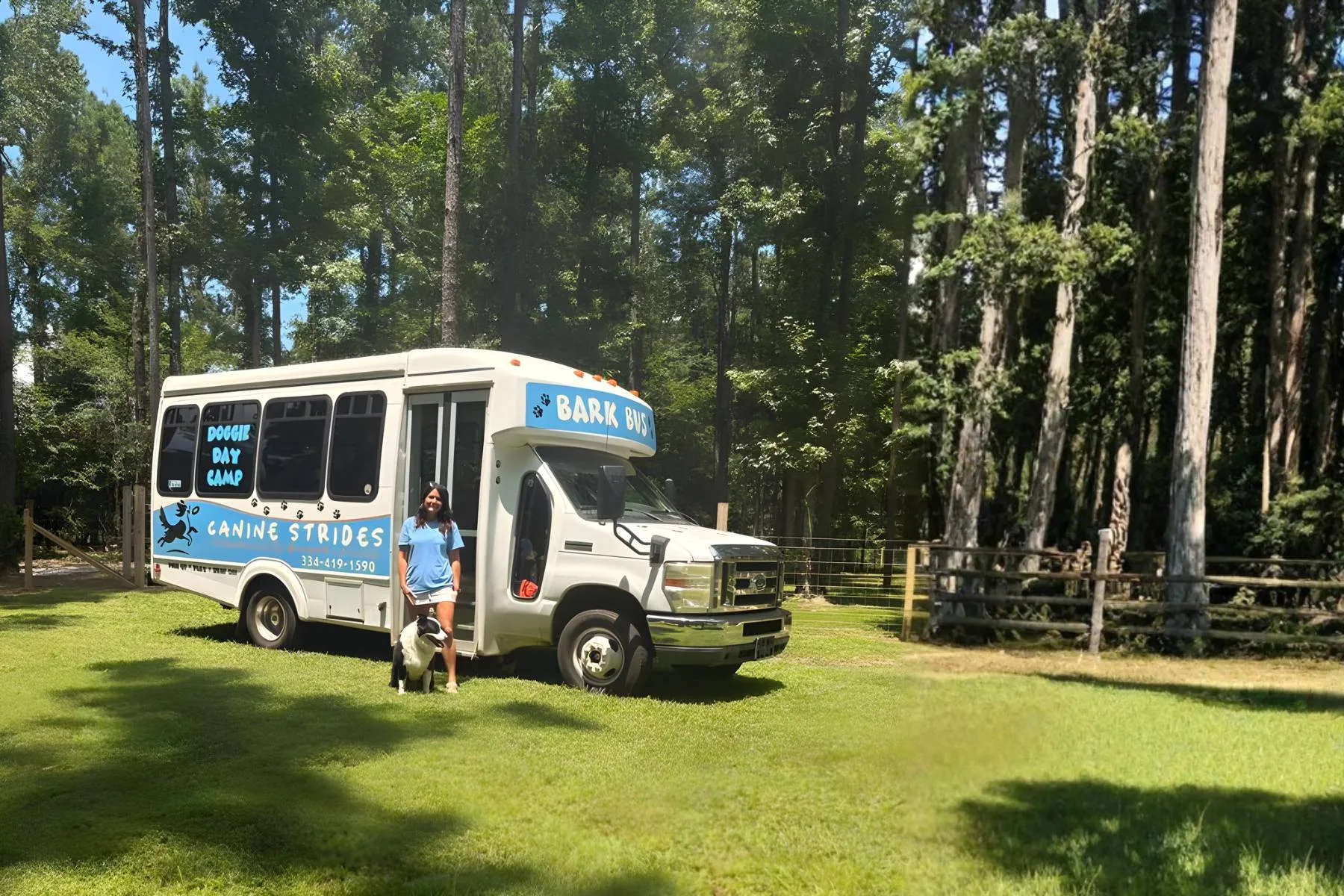 doggie day care bus canine strides in a grassy field near woods with owner and her dog