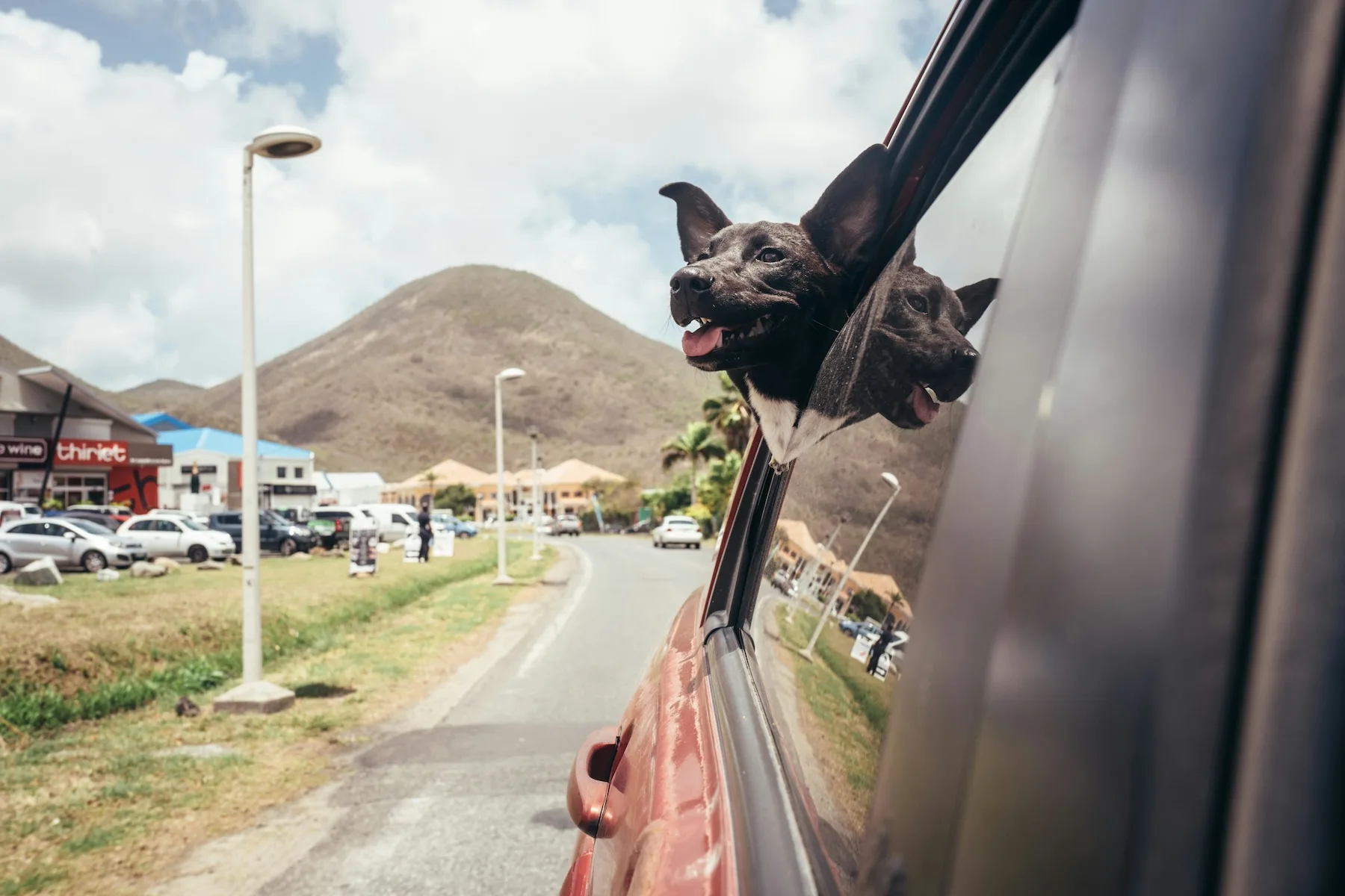 The Traveling Dog of Route 66’s Southern Stretch