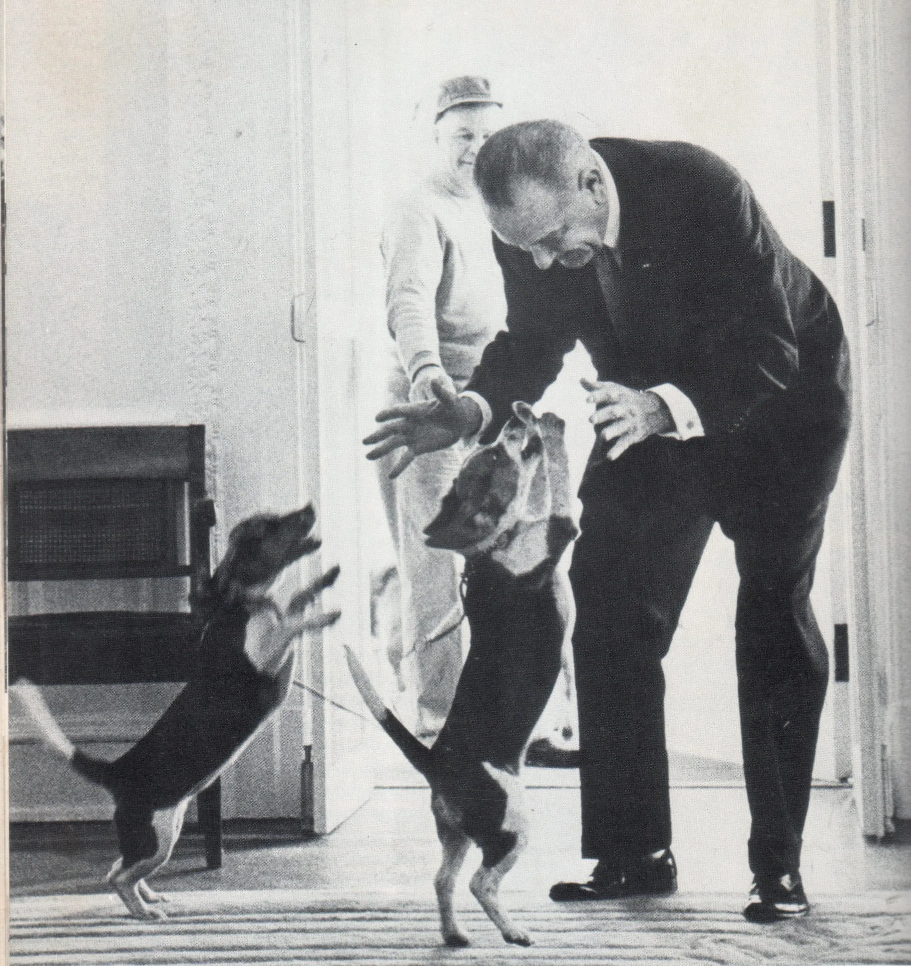 former president Lyndon B JOhnson and his dogs