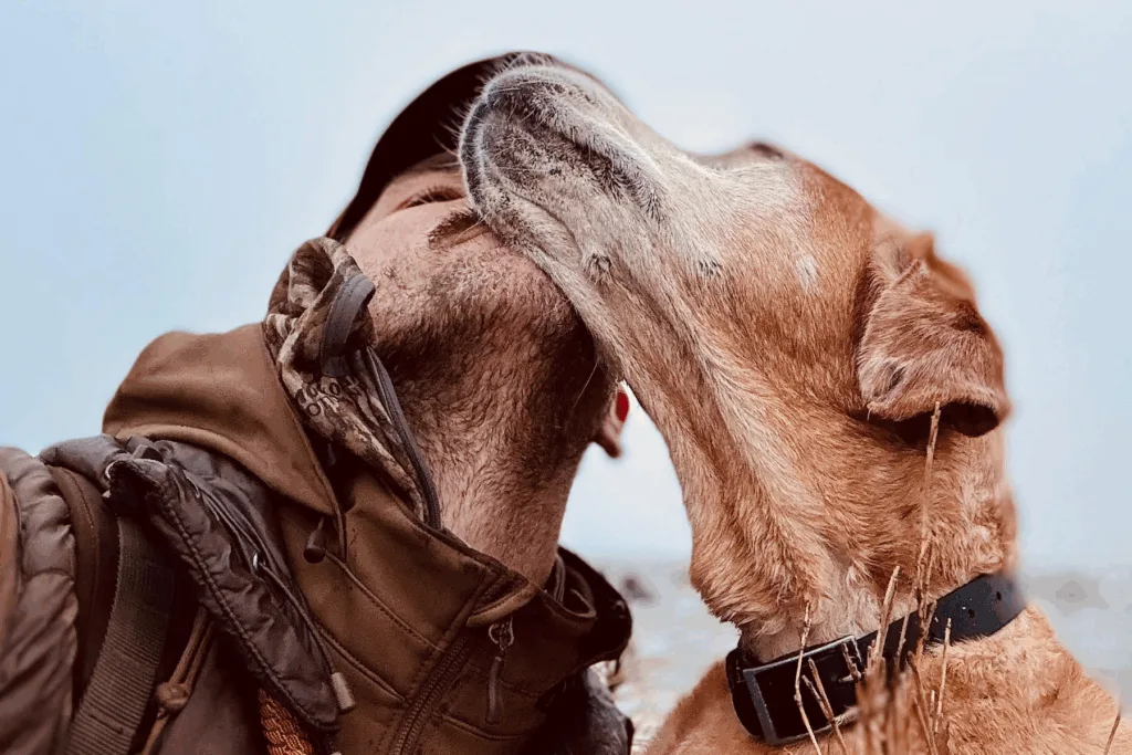 man and dog hunting