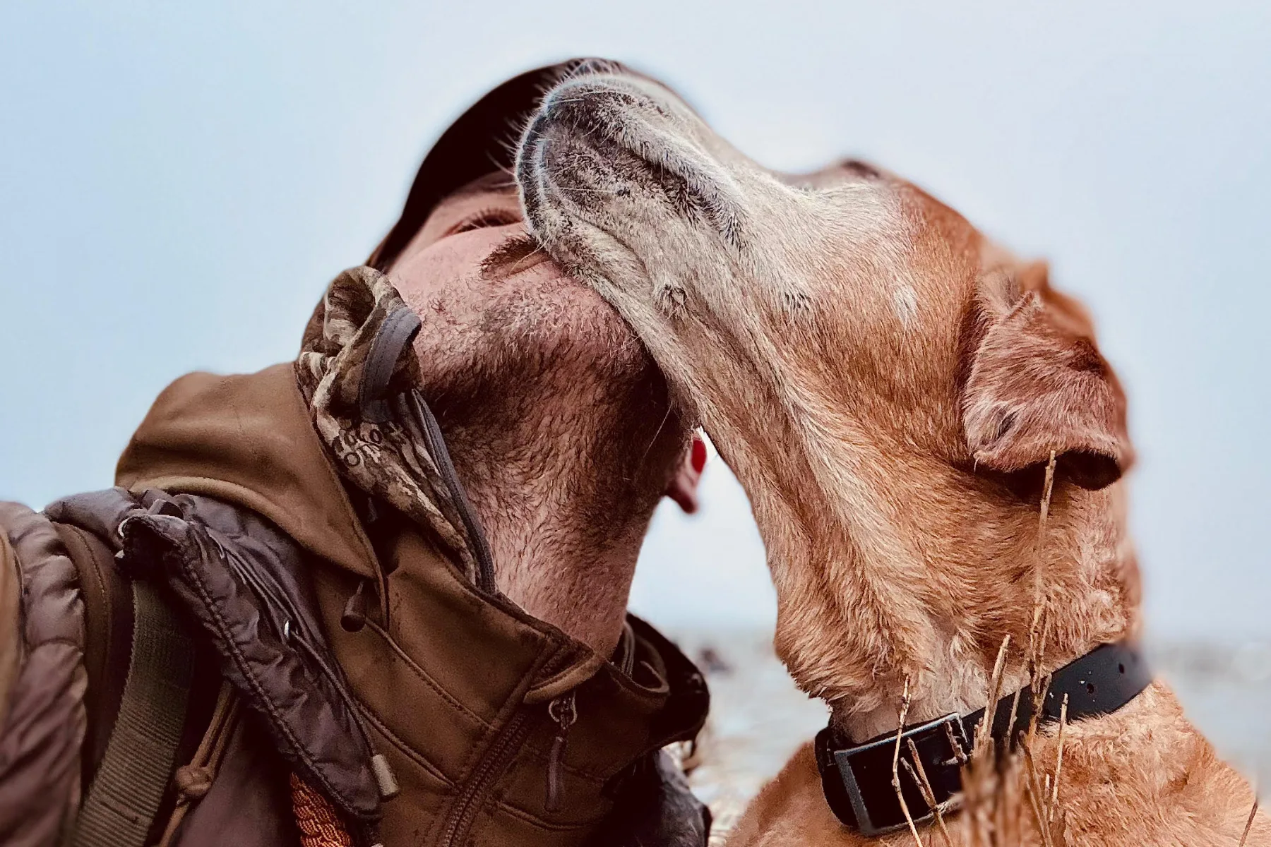 man and dog hunting