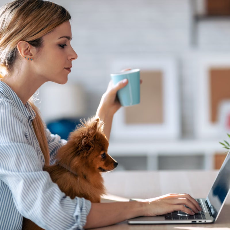 young woman working at computer with small dog in lap
