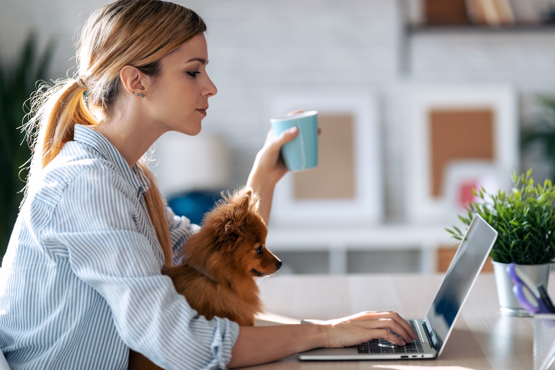 young woman working at computer with small dog in lap