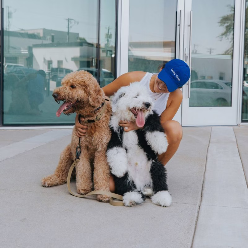 a woman with two dogs on the sidewalk