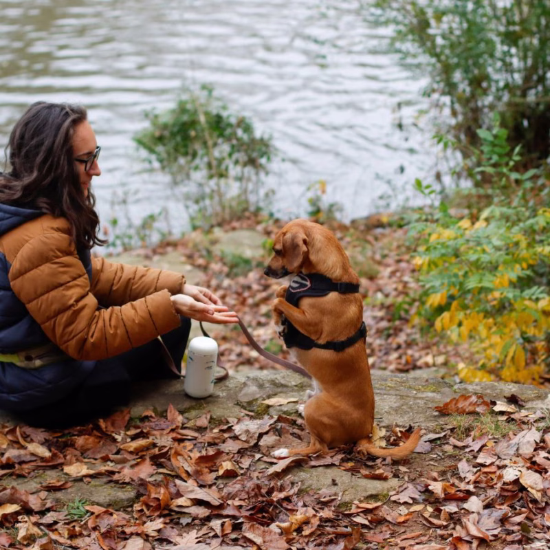 woman and dog sitting by riverbank playing