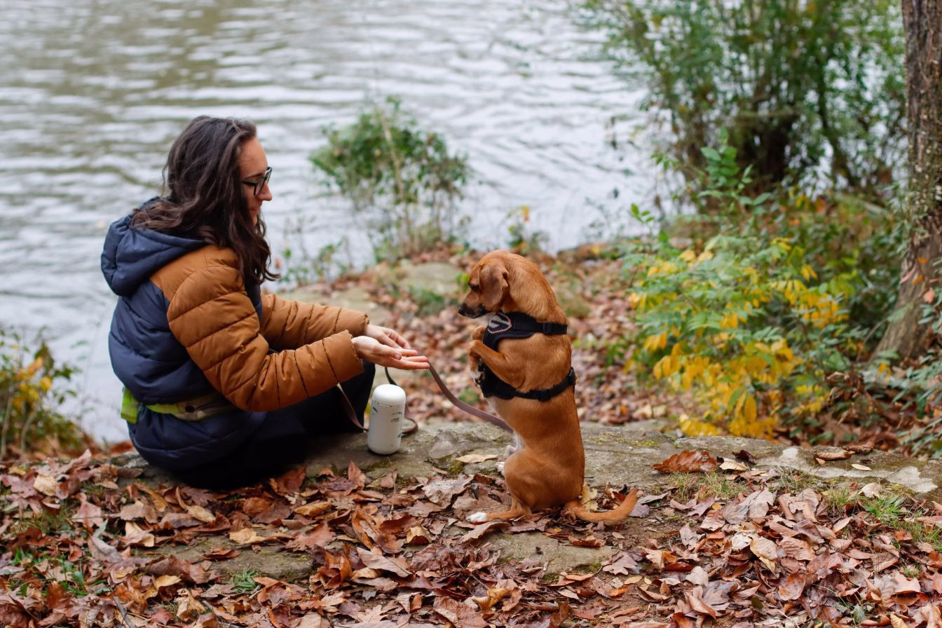 woman and dog sitting by riverbank playing