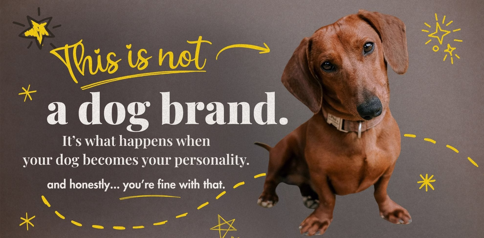 dog looking perplexed that this is not a dog brand