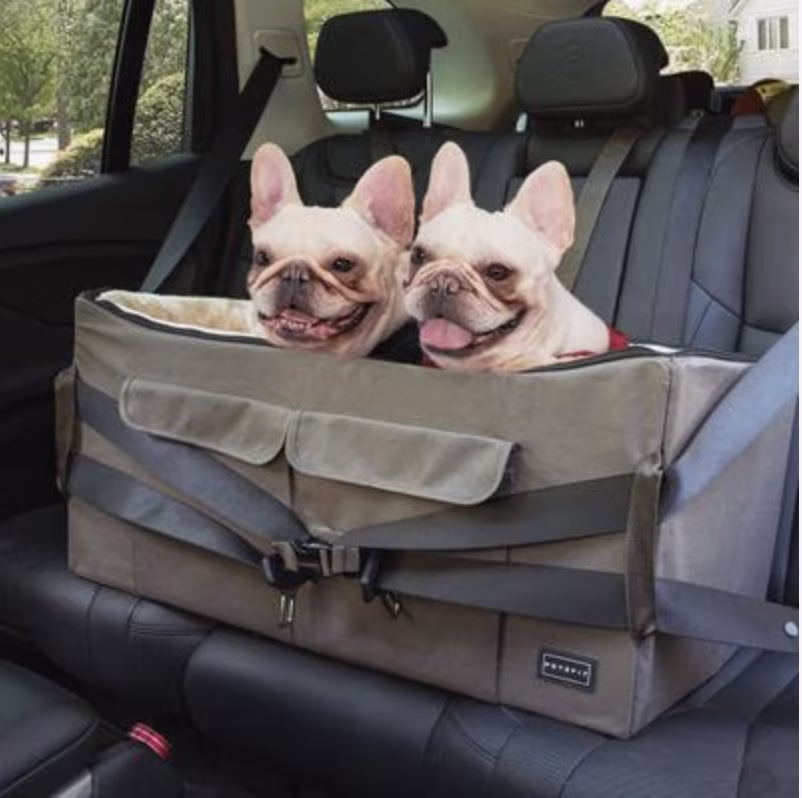 The Backseat Throne