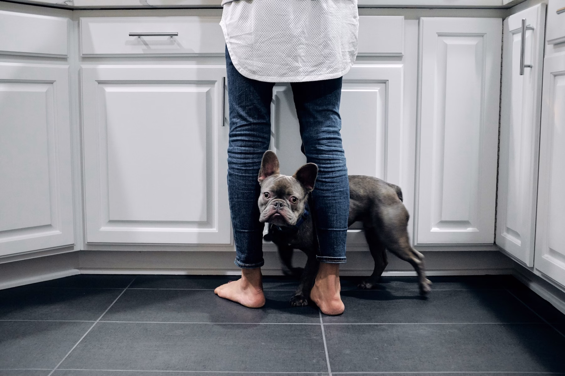 dog sitting between woman's legs staringa t camera while she does dishes