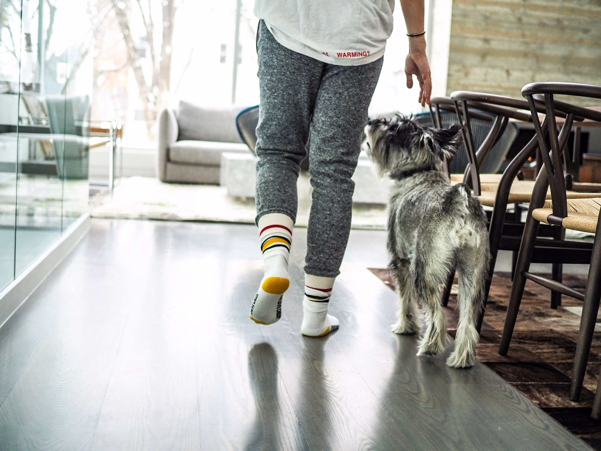 dog and woman walkig by dining table inside a home