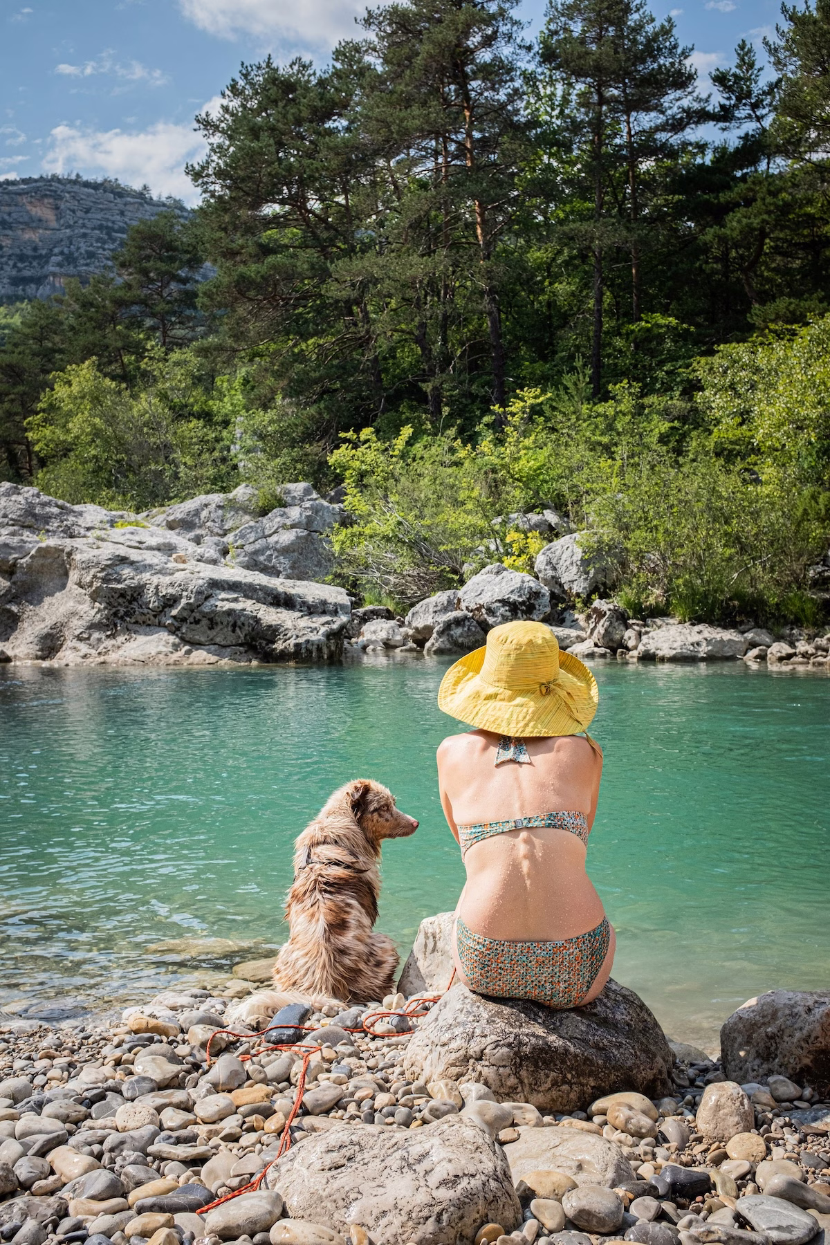 young woman and golden retriever staring at beautiful mountain water