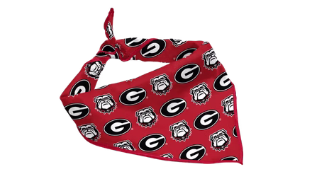 NCAA Pet Bandana