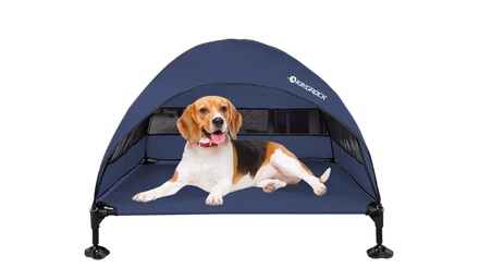 Elevated Dog Bed with Removable Canopy