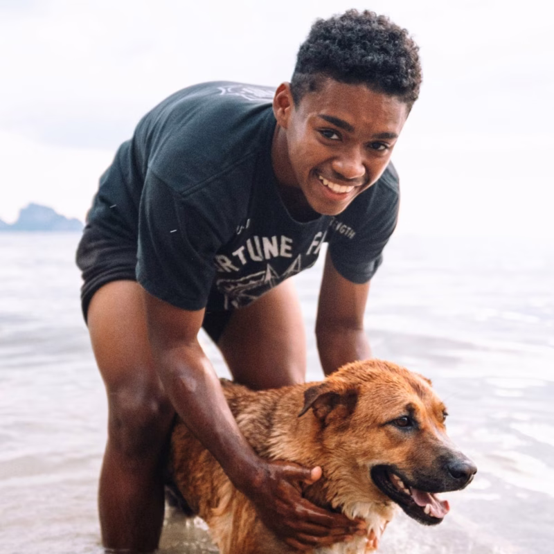 man and large brown dog playing in the ocean