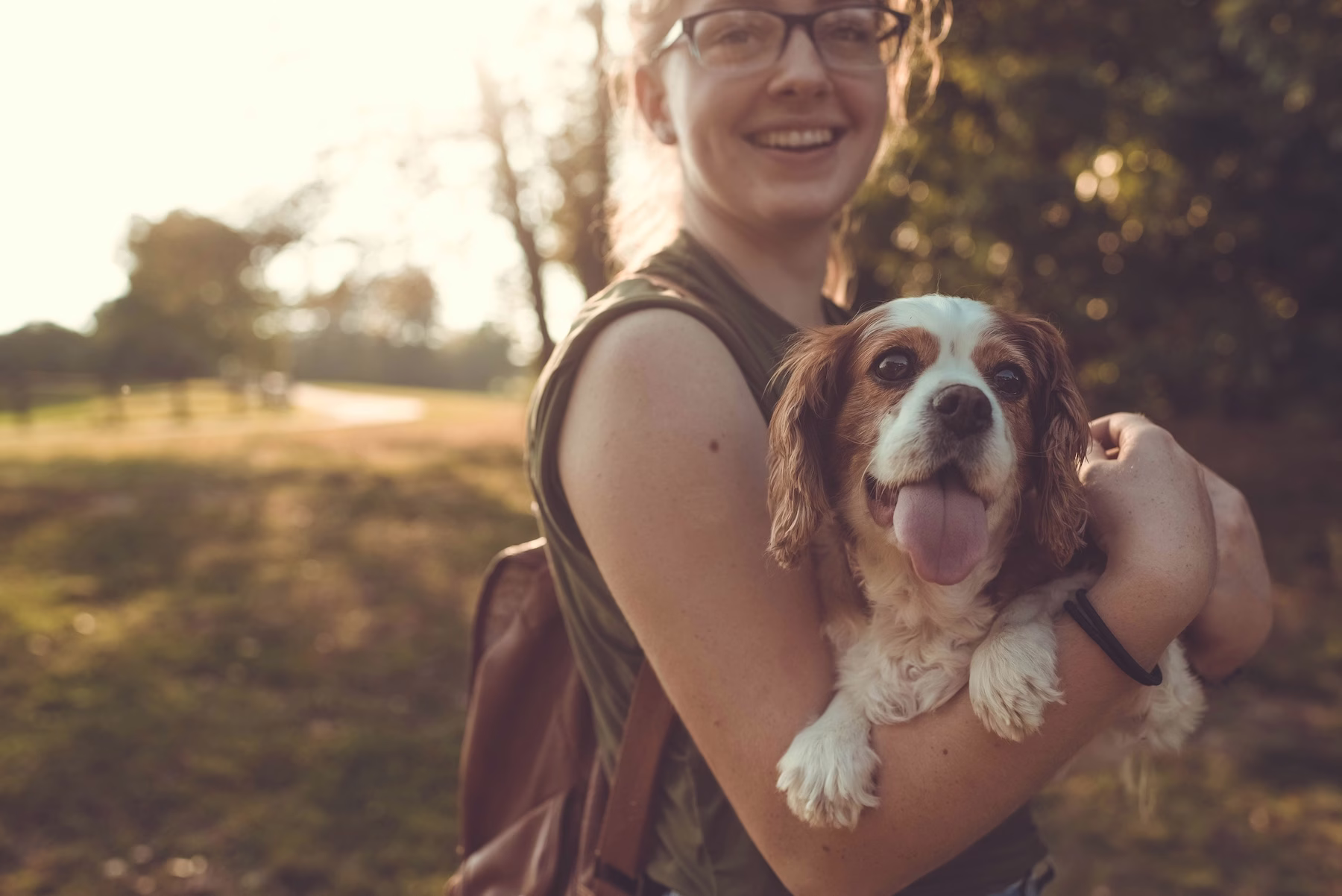 Hot Dog Mom Summer Confessions: The Things We’ve Done for Our Dogs This Month