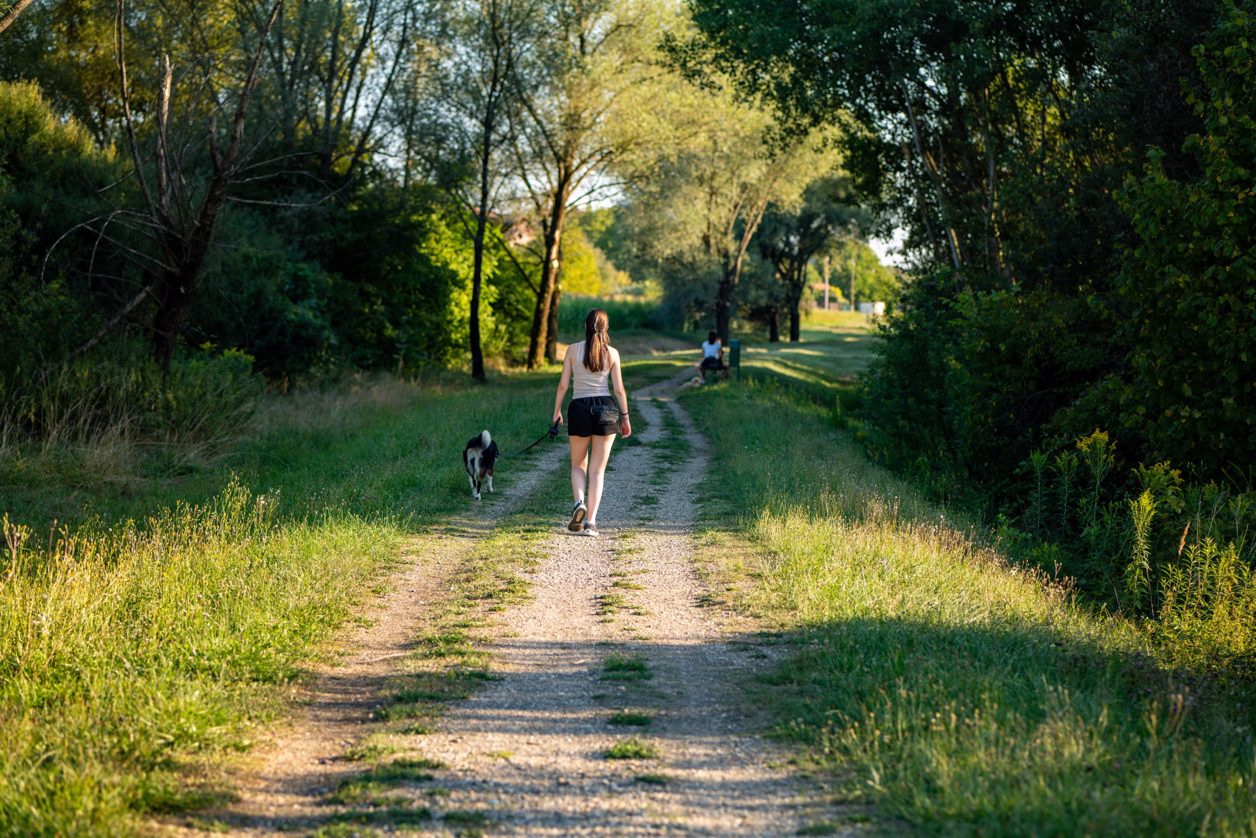 The Southern Dog Mom Summer Safety Reset