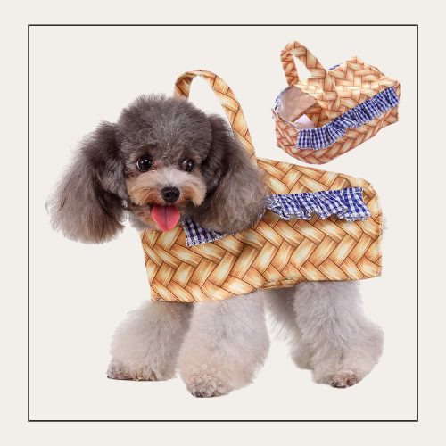gray fluffy dog wearing a basket costume