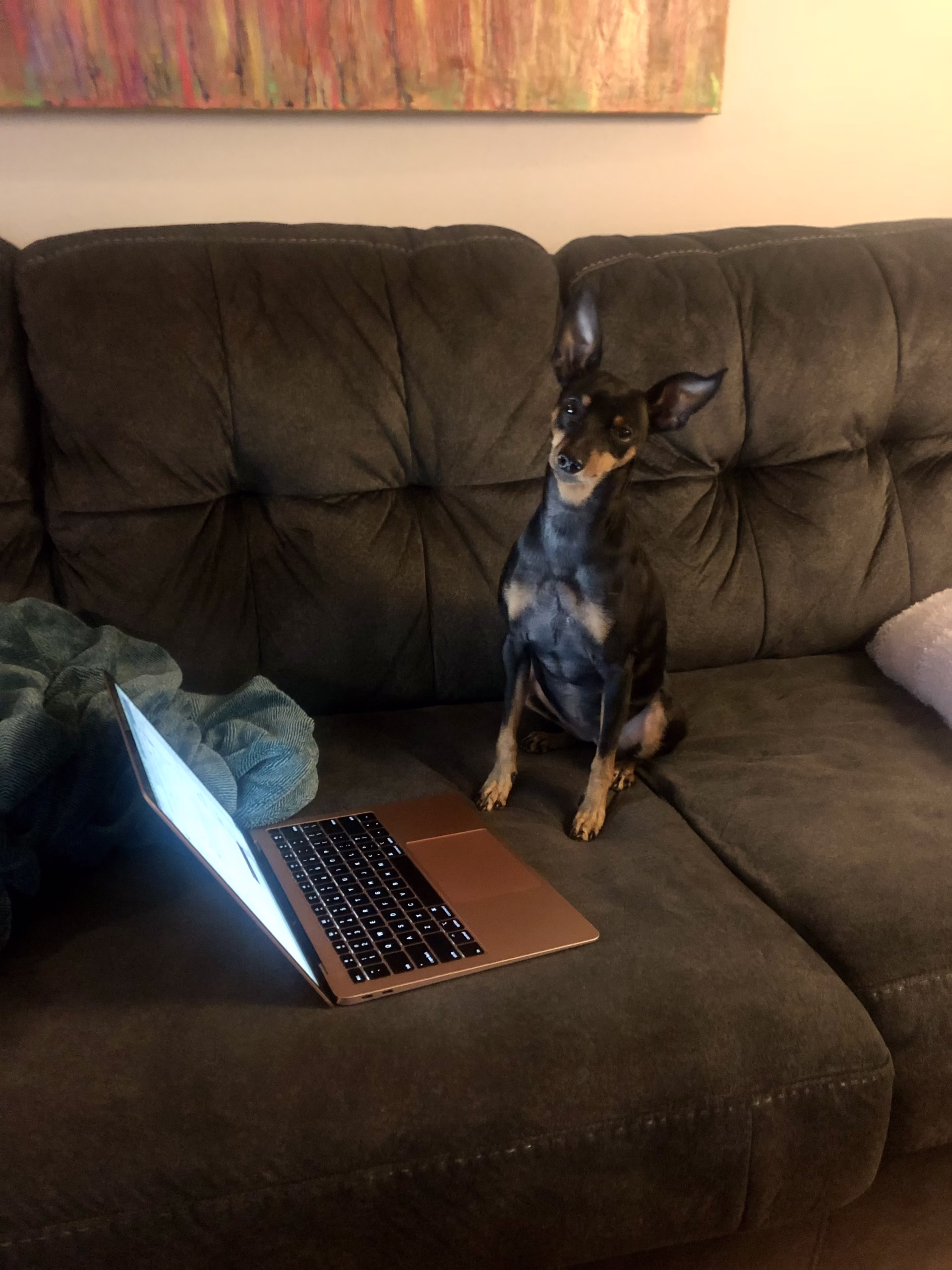 Nothing Calms Me More Than My Anxious Dog