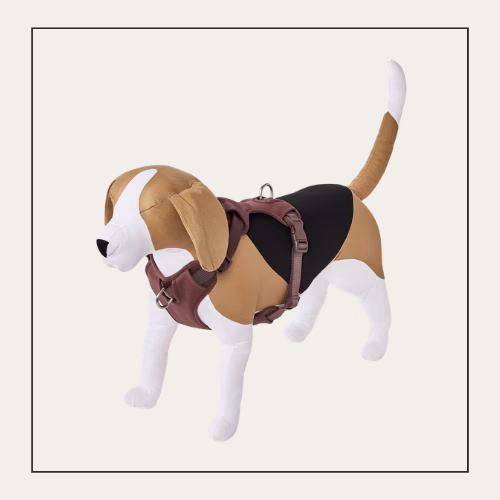 dog plushie with brown harness on