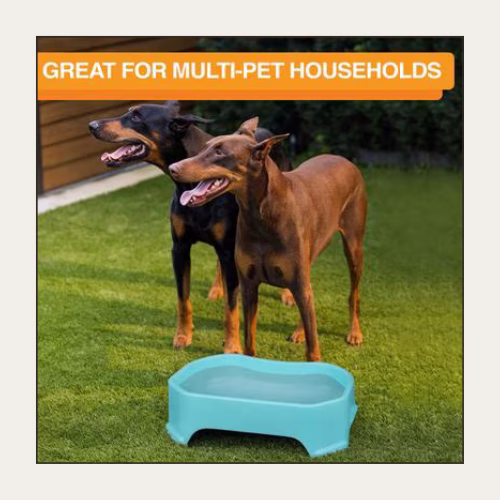 Neater Pets Big Bowl