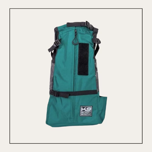 teal hiking bag