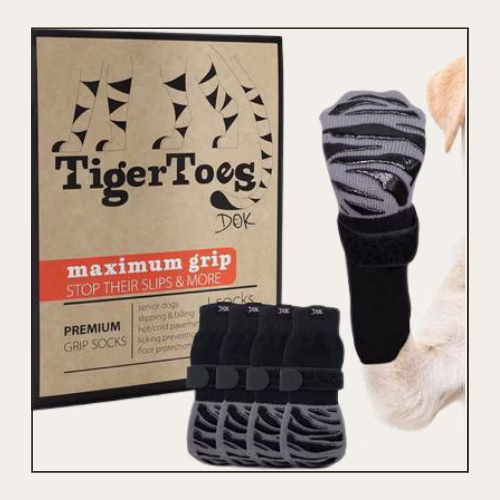 dog holding up paw with slip-proof socks on