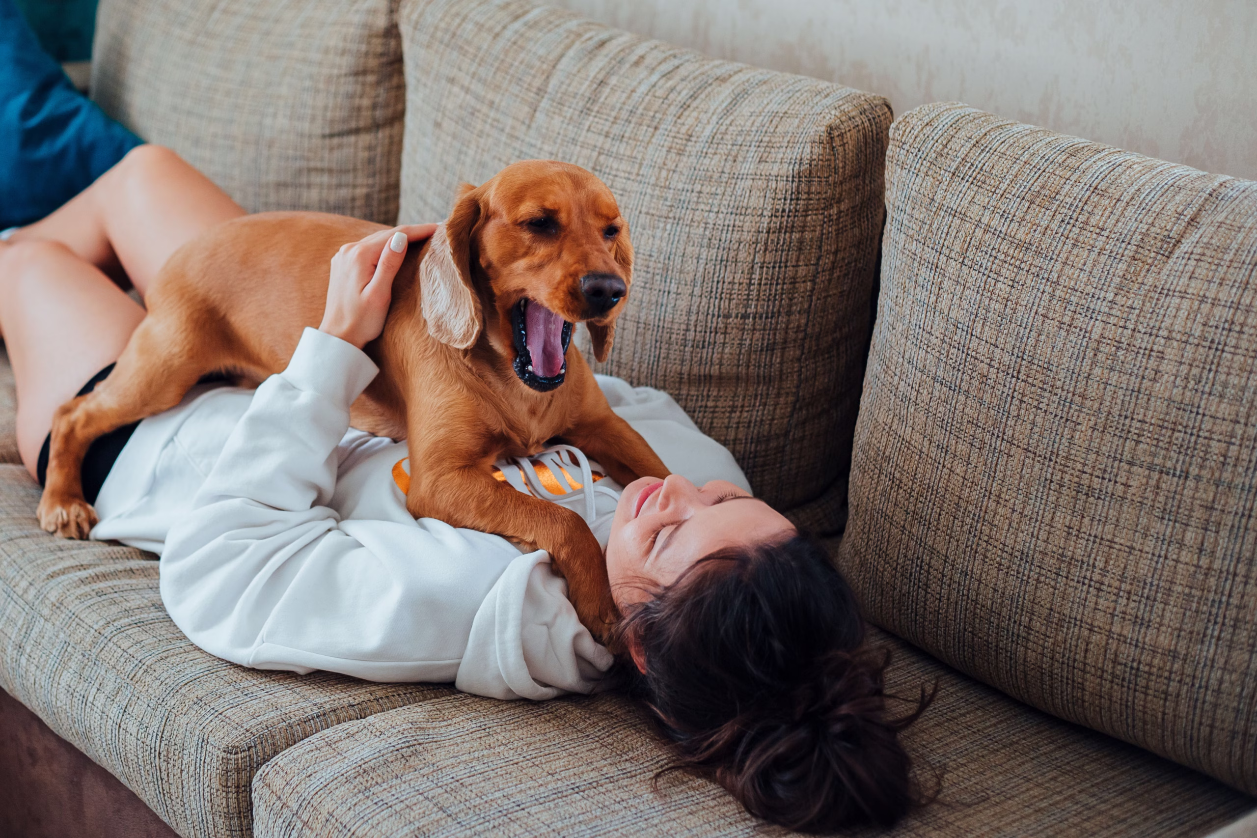 The Sunday Reset Every Dog Mom Deserves