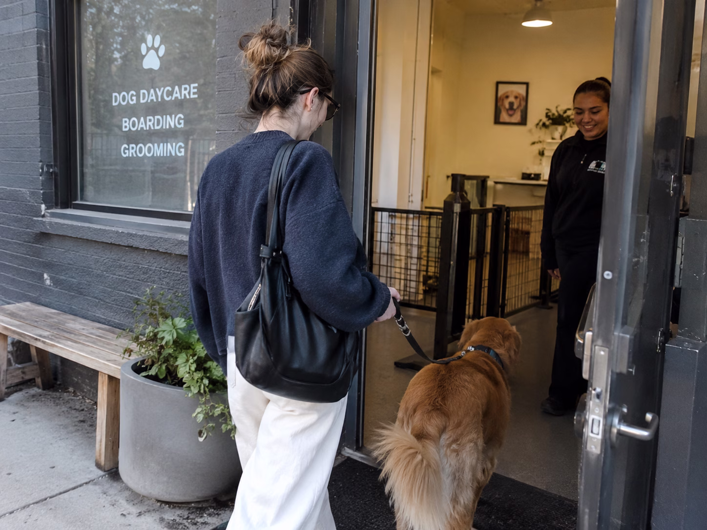 The Dog Parents You Meet at Daycare Drop-Off