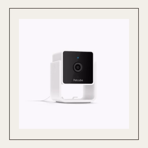Petcube Cam