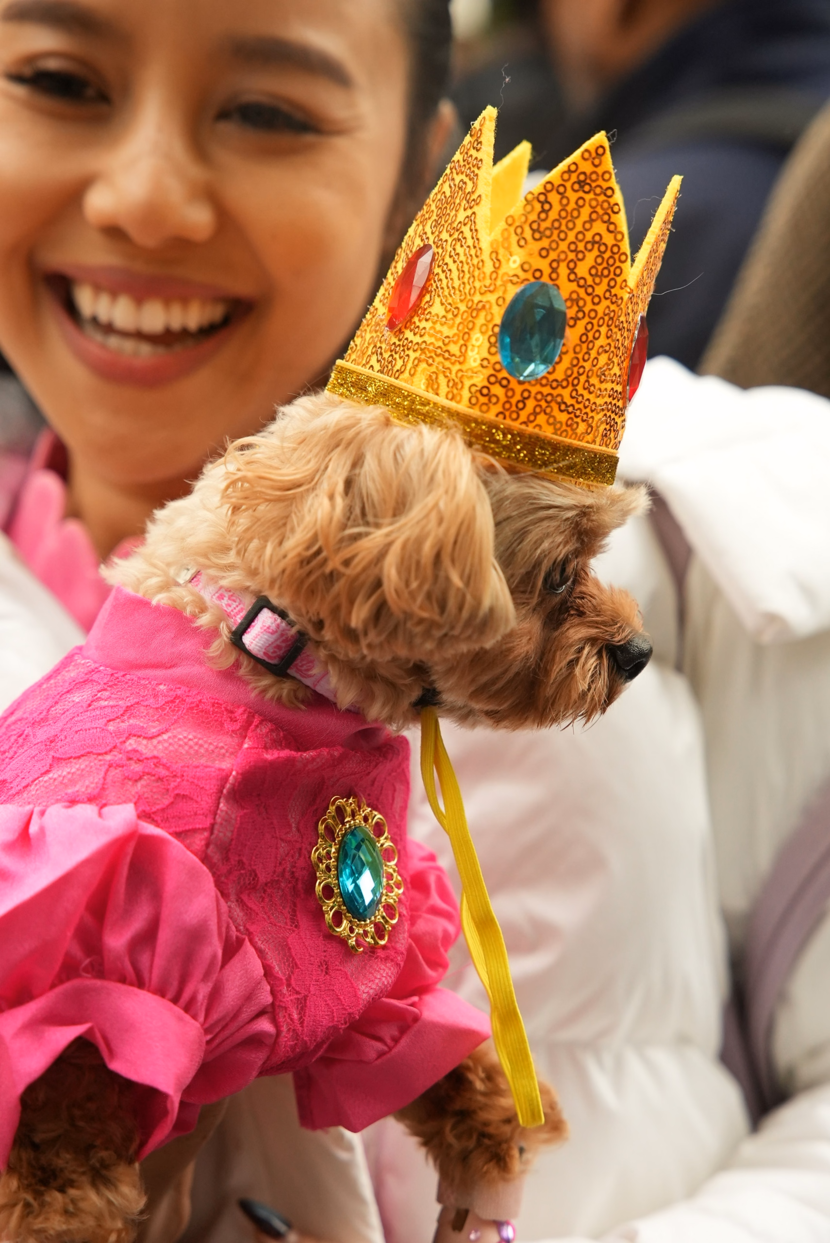 dog in a princess peach costume with girl in the background.